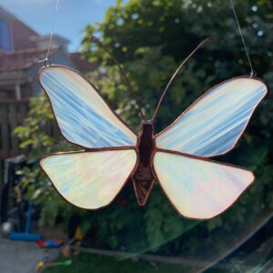 'Vlinder'