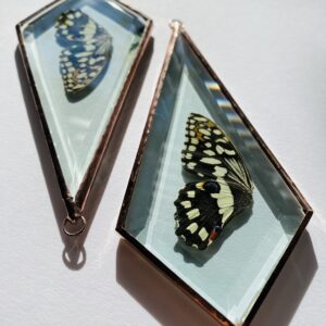 'Vederlicht Ornament' Vlinder set van 2
