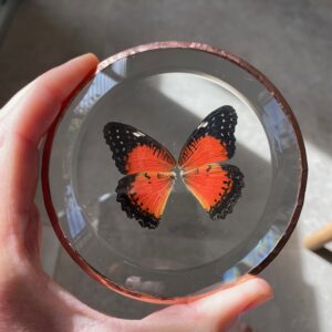 'Vederlicht Ornament' Vlinder 2