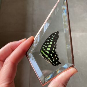 'Vederlicht Ornament' Vlinder 7