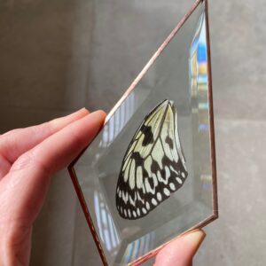 'Vederlicht Ornament' Vlinder 4