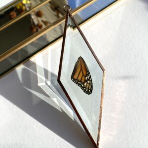 'Vederlicht Ornament' Vlinder 8