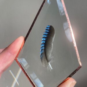 'Vlaamse Gaai' Vederlicht ornament nr. 21