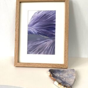 Vederlicht Art nr. 1