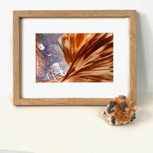 Vederlicht Art nr. 2