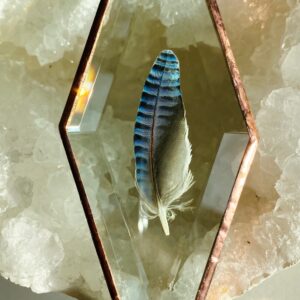 'Vlaamse Gaai' Vederlicht ornament nr. 24