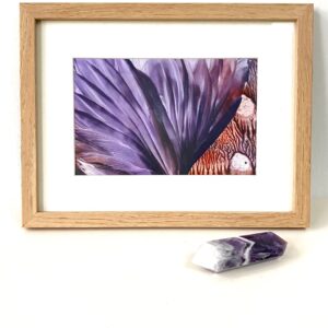 Vederlicht Art nr. 5